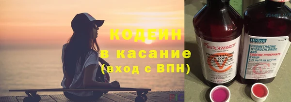 шишки Богородск