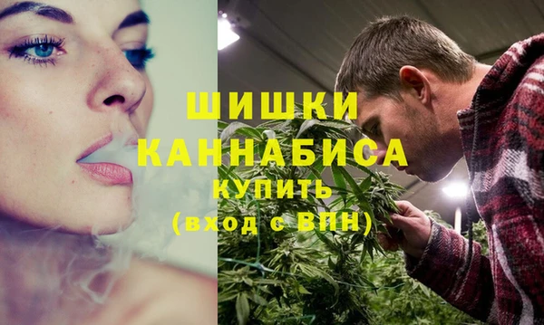 шишки Богородск