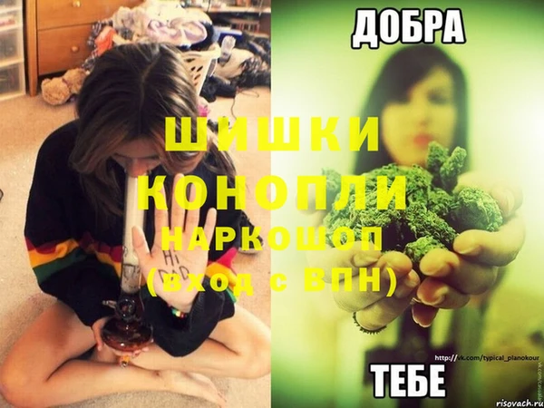 эйфоретик Богородицк