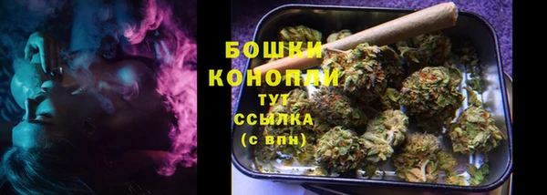 шишки Богородск