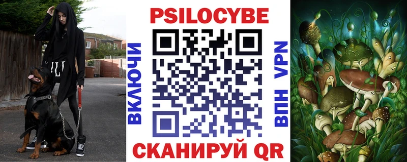 купить закладку  Невельск  Псилоцибиновые грибы мухоморы 